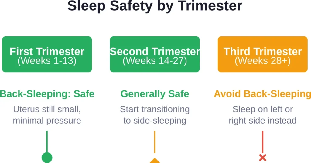 Medical guidance on back-sleeping changes as pregnancy progresses, with third trimester requiring the most caution.