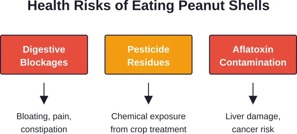 Three primary health concerns make eating peanut shells inadvisable for regular human consumption.